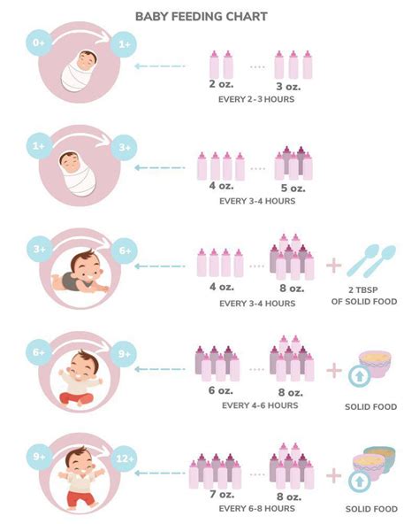 New Born Feeding Chart