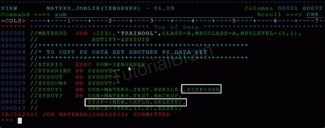 New Catalog Delete In Jcl