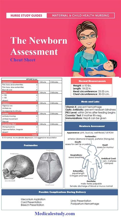 Newborn Physical Exam Template