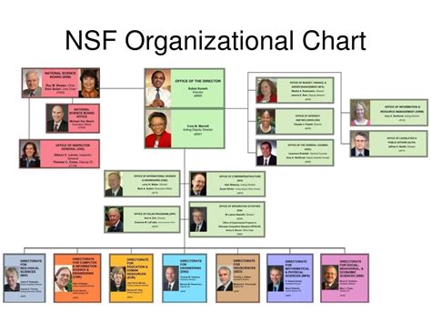 Nsf Org Chart