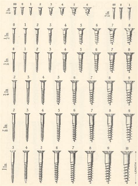 Numbered Screw Size Chart