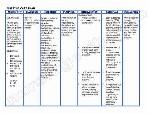 Nursing Care Plan Format Template