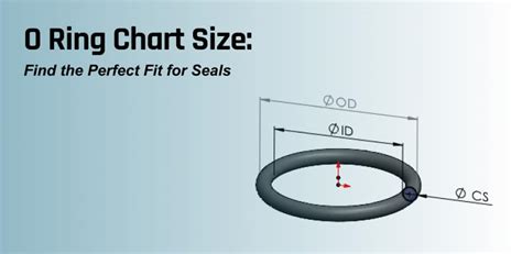 O Ring Seal Size Chart