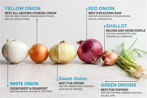 Onion Variety Chart