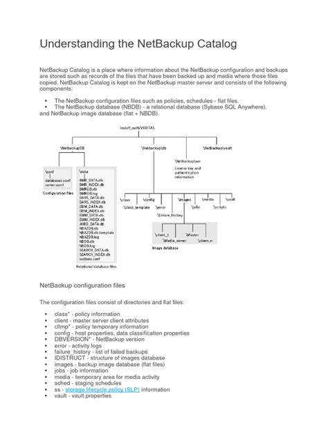 Ora-19511 Not Found In Netbackup Catalog
