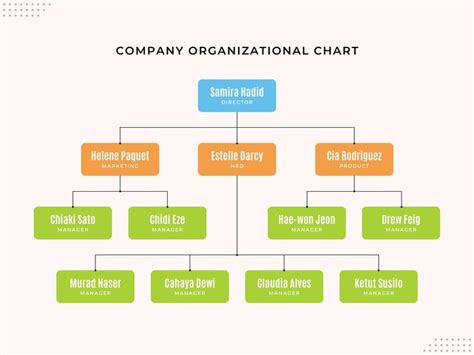 Organisation Flow Chart Template