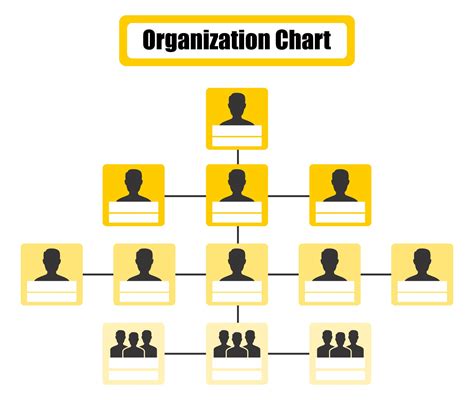 Organization Structure Template