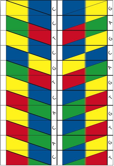 Origami Dna Template