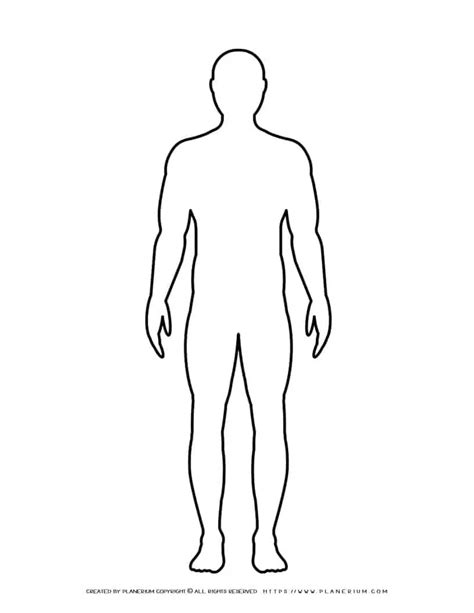 Outline Body Template
