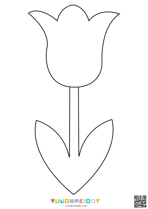 Outline Tulip Template