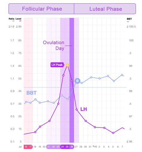 Ovulation Bbt Chart Examples