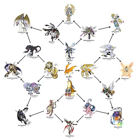 Patamon Evolution Chart