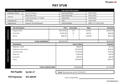 Pay Stub Templates Free