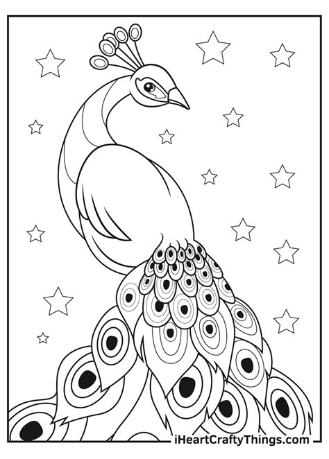 Peacock Coloring Pages Printable