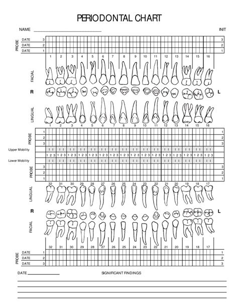 Periodontal Charting Template