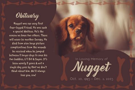 Pet Obituary Template