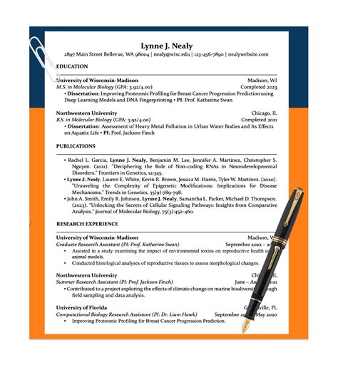 Phd Application Cv Template