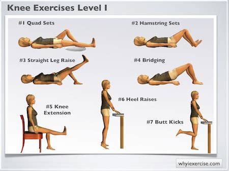 Physio Knee Exercises Chart