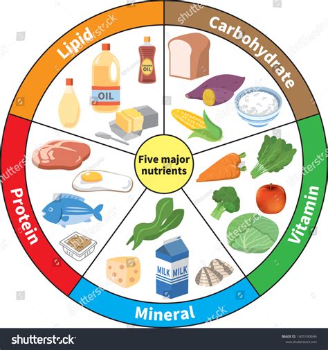 Pie Chart Of Nutrients