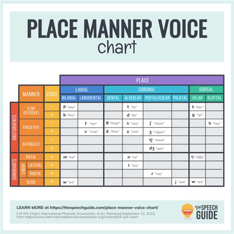 Place Manner And Voicing Chart