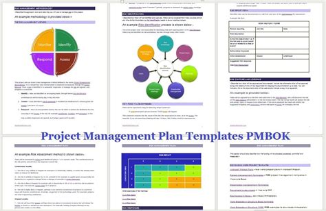 Pmi Project Management Plan Template