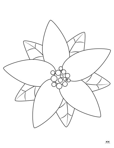 Poinsettia Coloring Page Printable Free