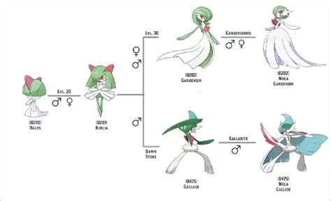 Pokemon Gardevoir Evolution Chart