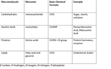 Polymers And Monomers Chart