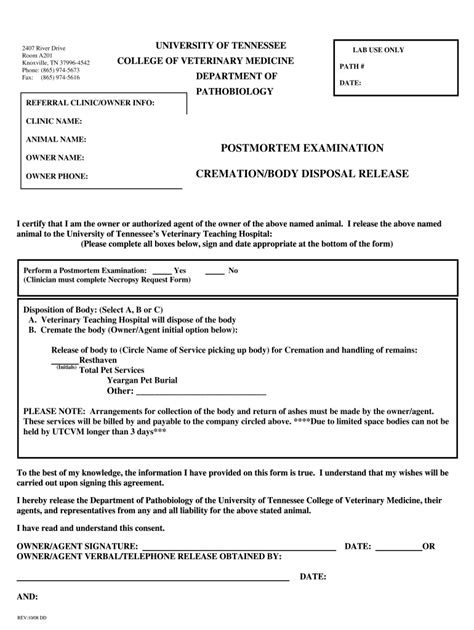 Post Mortem Report Template