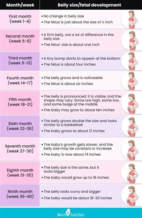 Pregnant Belly Growth Chart