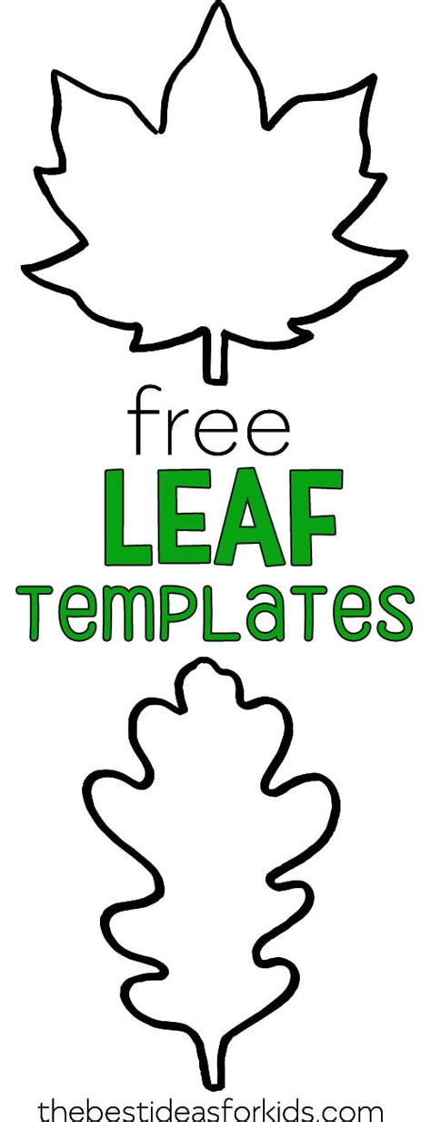 Preschool Leaf Template