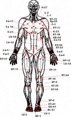 Pressure Point Chart Martial Arts