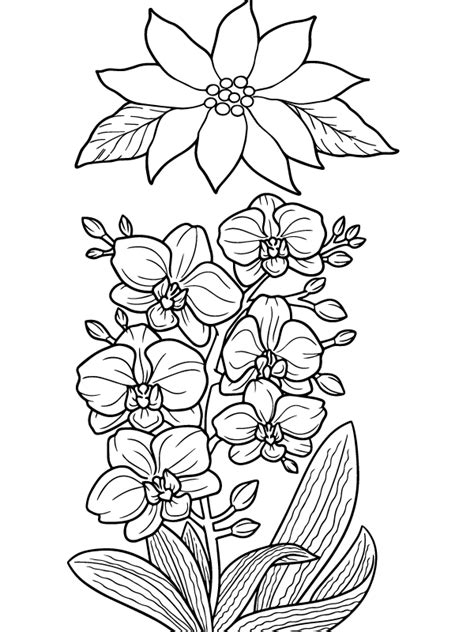 Printable Christmas Flowers