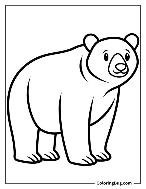 Printable Coloring Pages A Bear In A Box