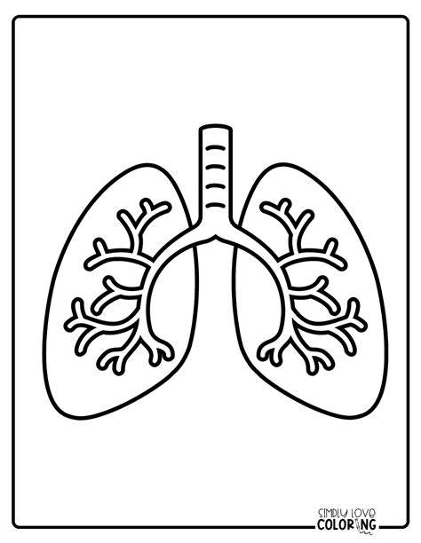 Printable Human Heart And Lungs Coloring Pages For Kids