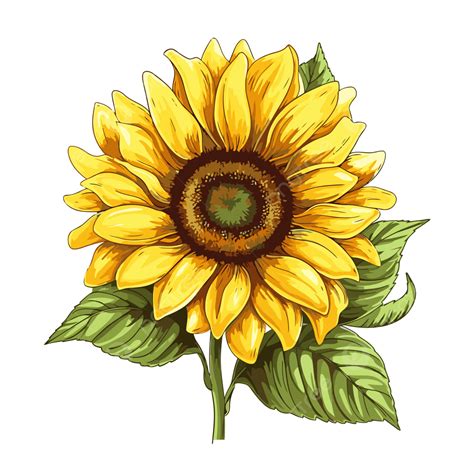 Printable Sunflower Pictures