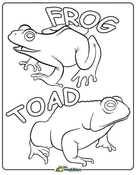 Printable Toad Coloring Pages