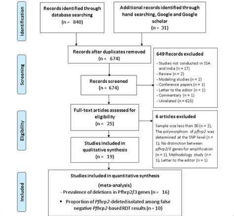 Prisma Chart Template
