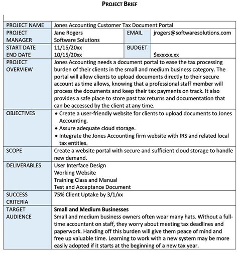 Project Brief Template Example