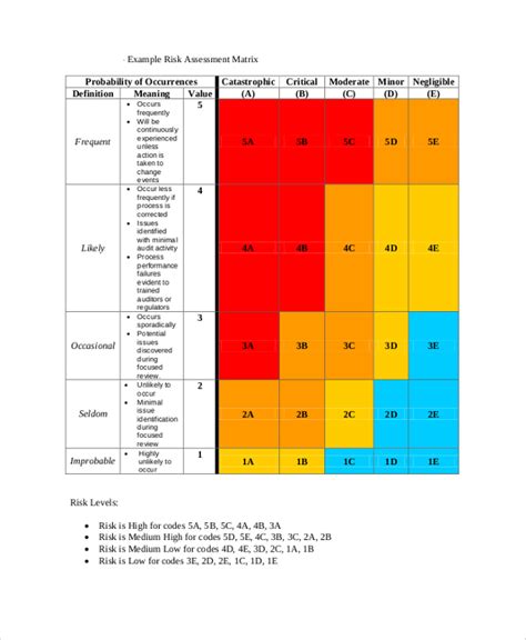Project Risk Assessment Template