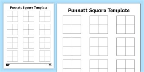 Punnett Square Blank Template