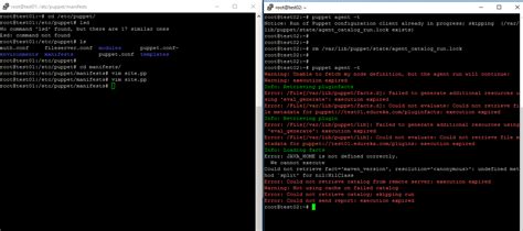 Puppet Not Using Cache On Failed Catalog