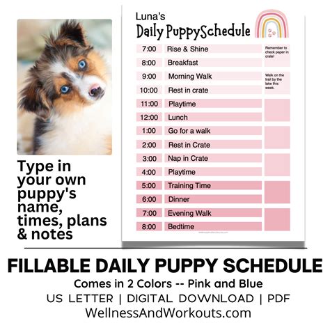 Puppy Schedule Template