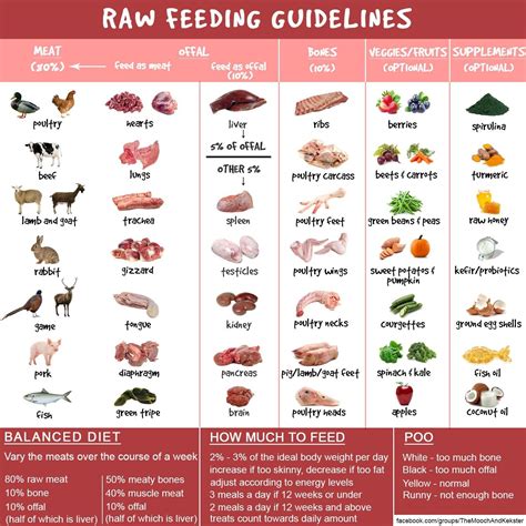 Raw Food Chart For Dogs