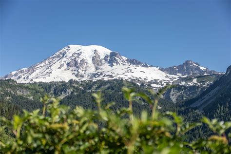 Recently Cataloged Indigenous Names For Mount Rainier