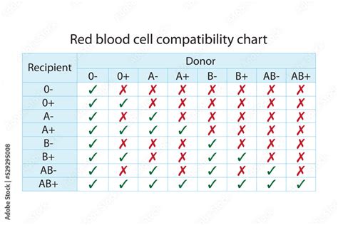 Recipient Donor Blood Chart