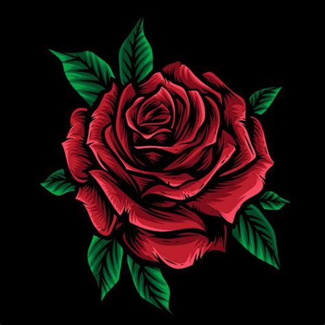 Red Rose Drawing Black Background