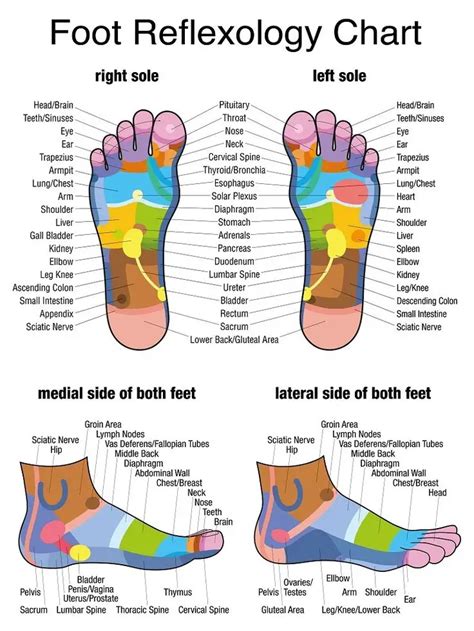 Reflexology Chart Top Of Foot