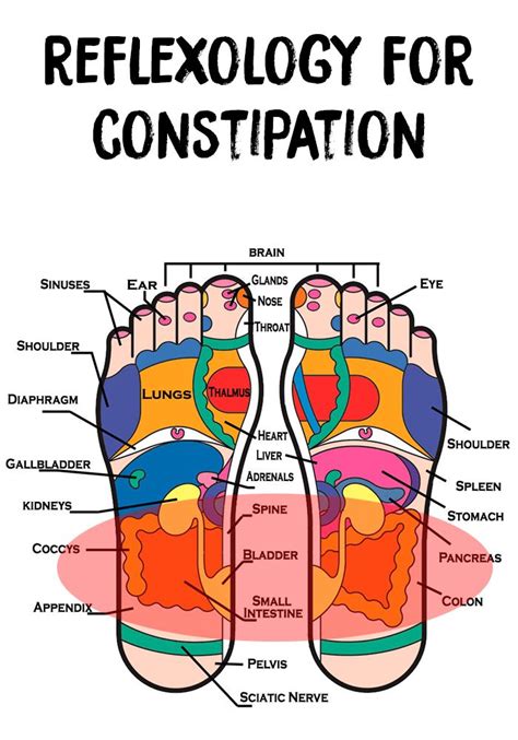 Reflexology Foot Chart Constipation
