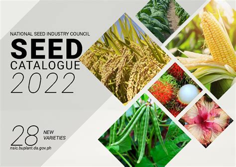 Rice Course Catalogue